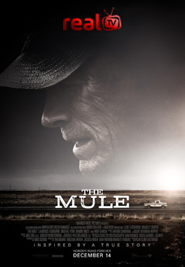 the mule